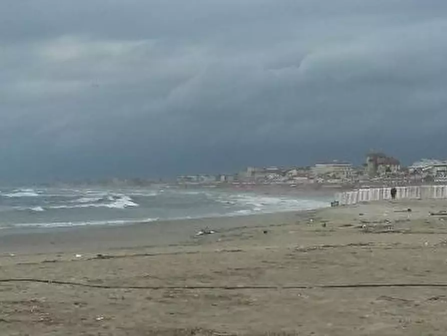 Immagine 4 di Laboratorio in vendita  a Viareggio