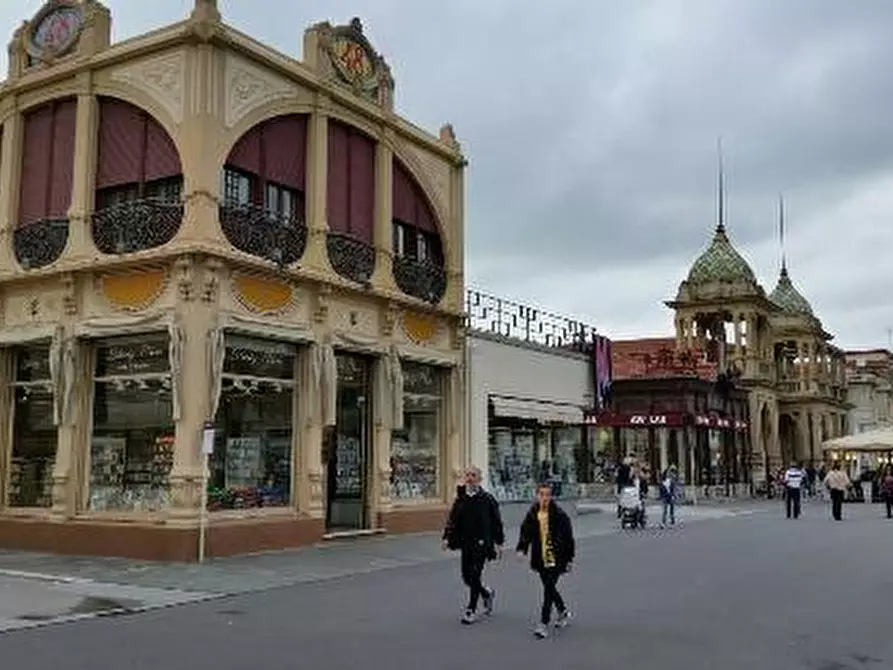 Immagine 1 di Laboratorio in vendita  a Viareggio