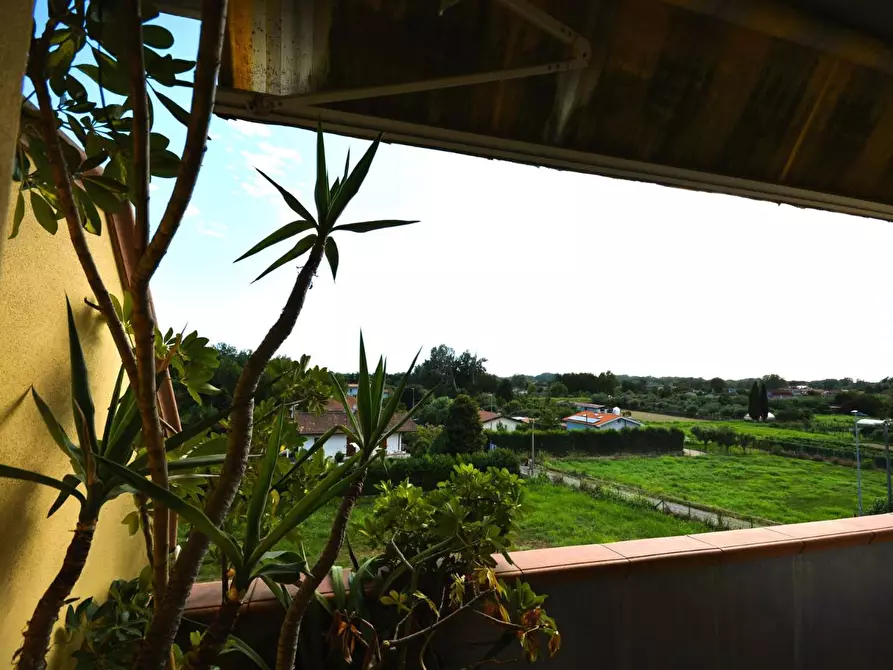 Immagine 19 di Appartamento in vendita  a Montignoso