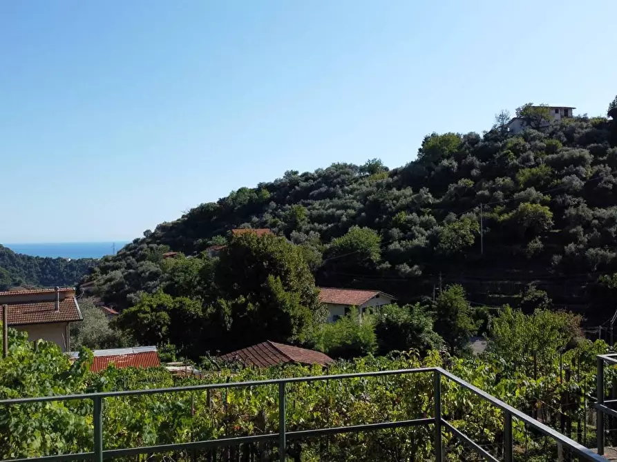 Immagine 5 di Casa bifamiliare in vendita  a Montignoso