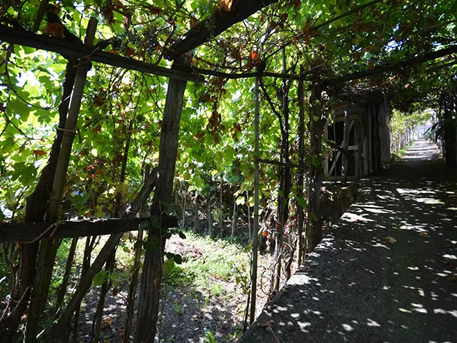 Immagine 48 di Casa bifamiliare in vendita  a Montignoso