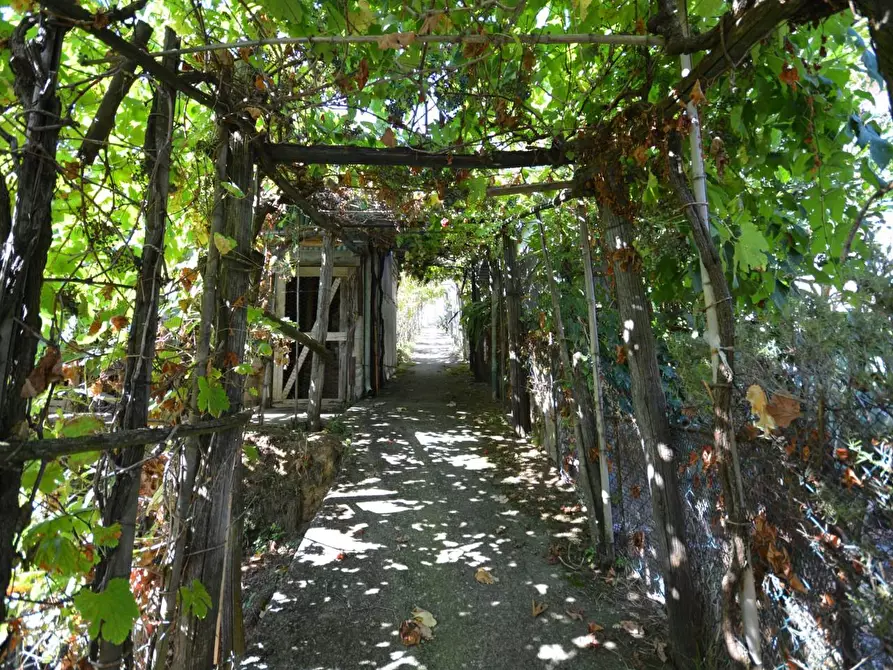 Immagine 49 di Casa bifamiliare in vendita  a Montignoso