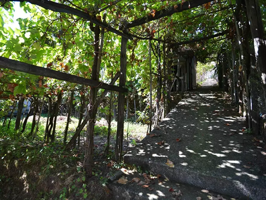 Immagine 47 di Casa bifamiliare in vendita  a Montignoso