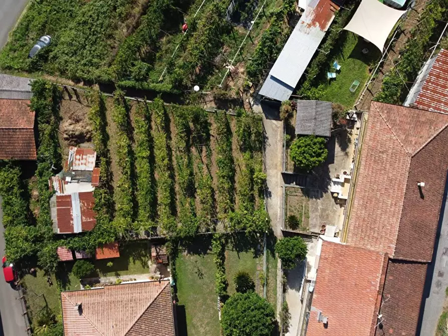 Immagine 38 di Casa bifamiliare in vendita  a Montignoso