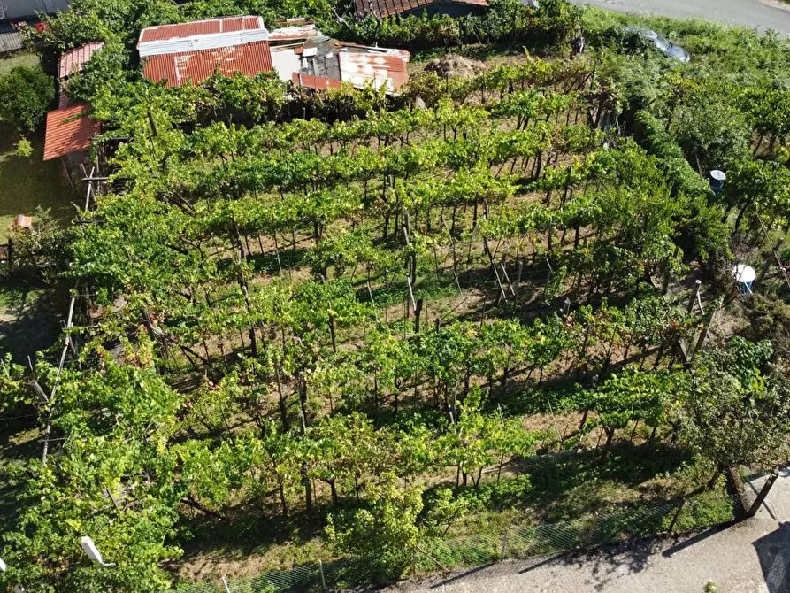 Immagine 44 di Casa bifamiliare in vendita  a Montignoso
