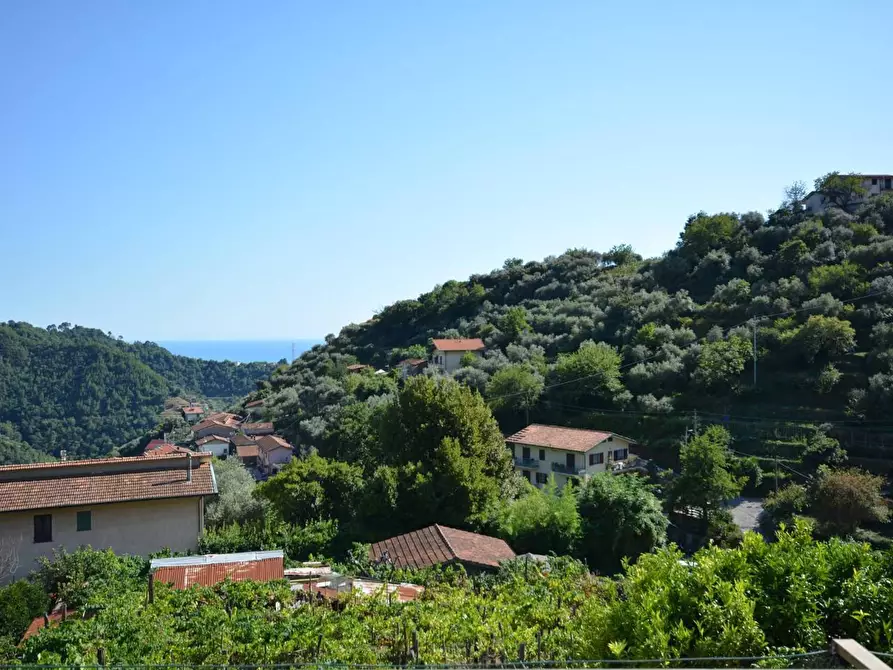 Immagine 34 di Casa bifamiliare in vendita  a Montignoso