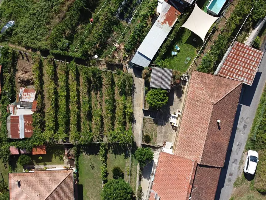 Immagine 4 di Casa bifamiliare in vendita  a Montignoso