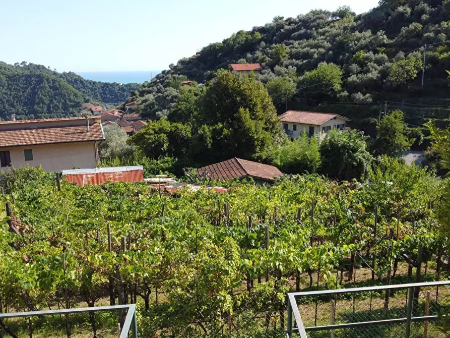 Immagine 35 di Casa bifamiliare in vendita  a Montignoso