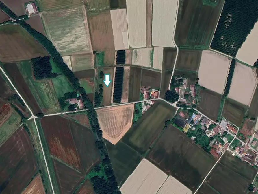 Immagine 1 di Terreno agricolo in vendita  a Travacò Siccomario
