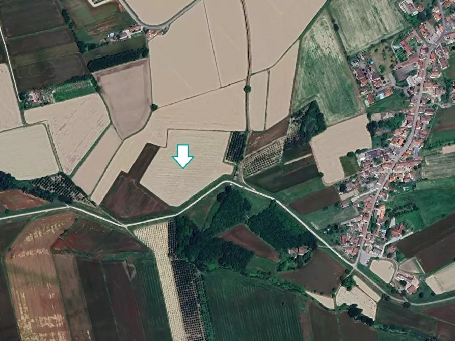 Immagine 1 di Terreno agricolo in vendita  a Travacò Siccomario