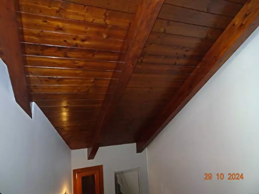 Immagine 10 di Terratetto in vendita  a Grugliasco