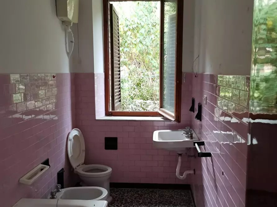 Immagine 12 di Appartamento in vendita  a Casole D'elsa