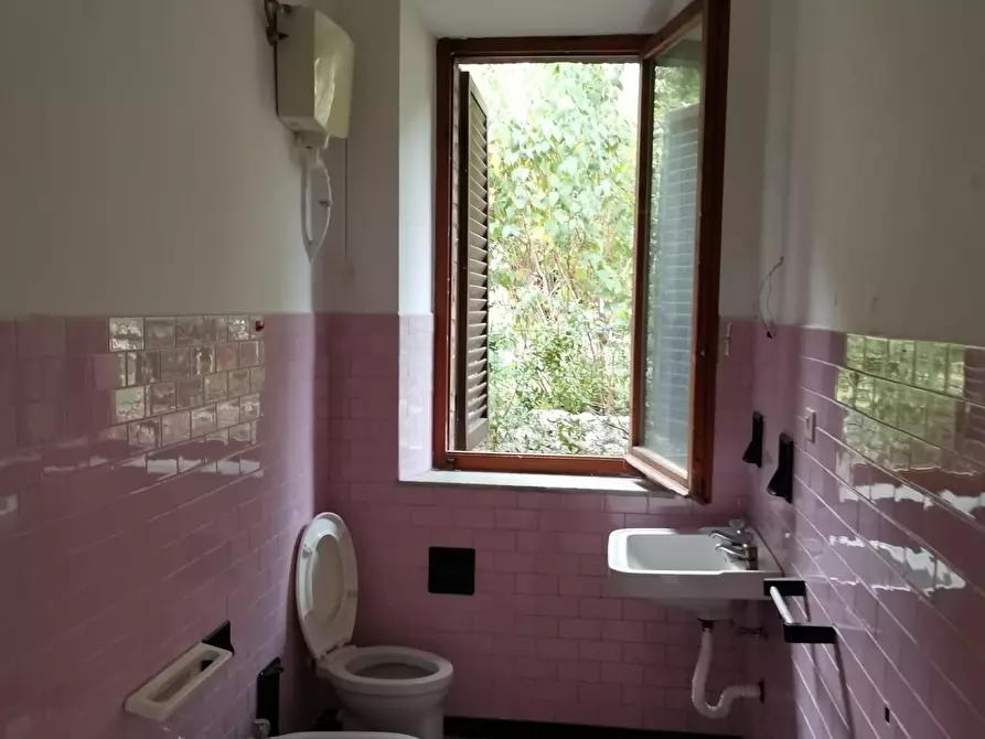 Immagine 11 di Appartamento in vendita  a Casole D'elsa