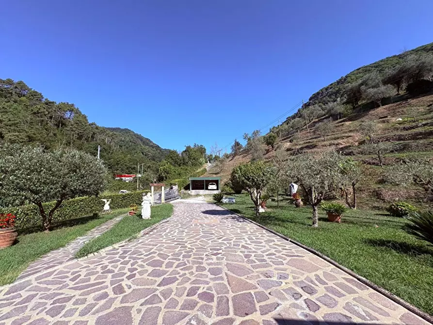Immagine 3 di Villa in vendita  a Massa