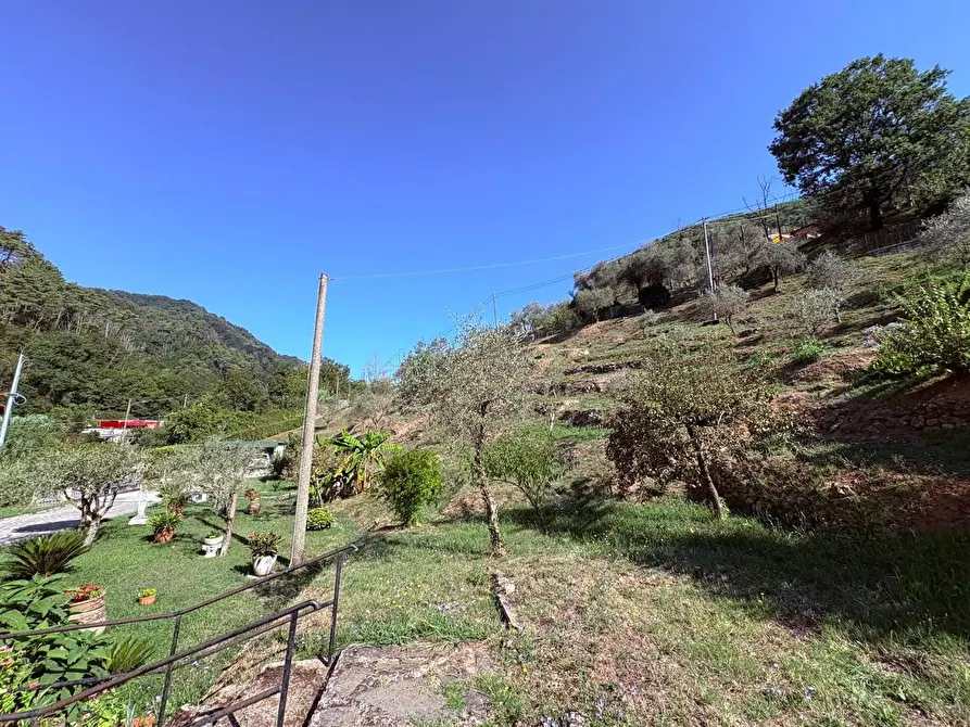 Immagine 23 di Villa in vendita  a Massa