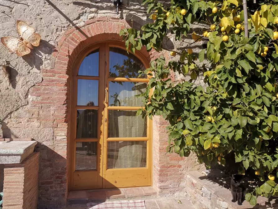 Immagine 7 di Appartamento in affitto  a Buti