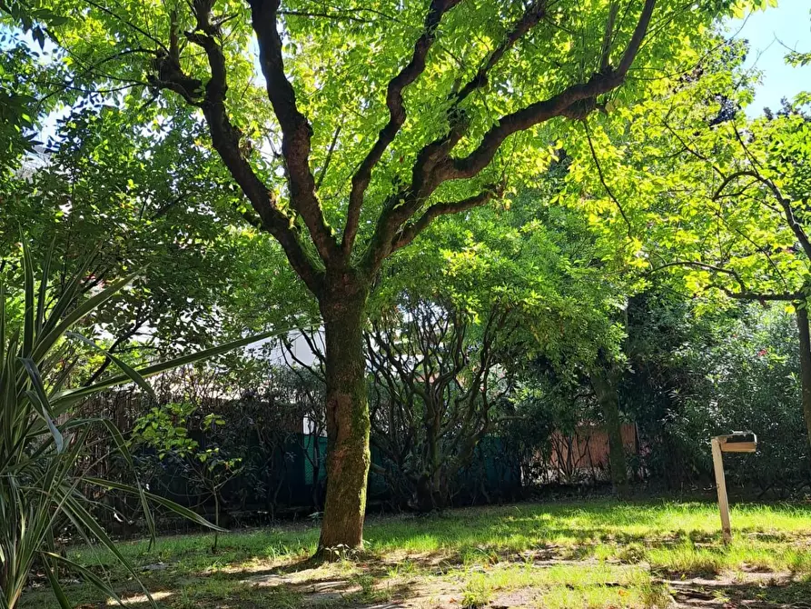 Immagine 15 di Appartamento in vendita  a Massa