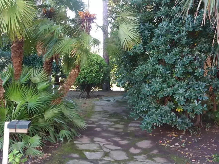 Immagine 16 di Appartamento in vendita  a Massa