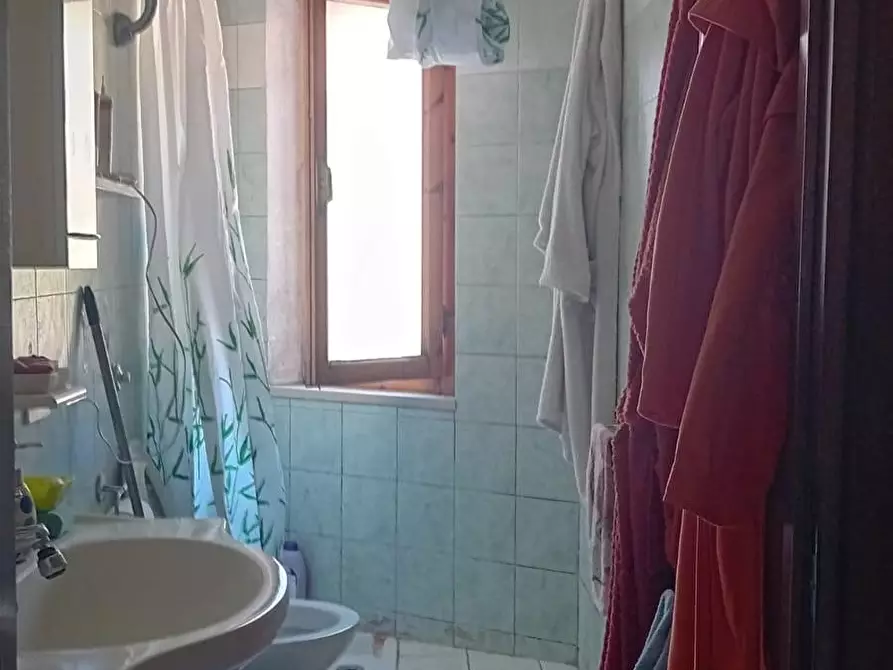 Immagine 10 di Appartamento in vendita  a Crespina Lorenzana