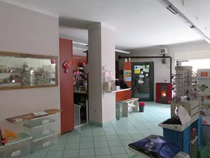 Immagine 1 di Negozio in vendita  a Villar Pellice