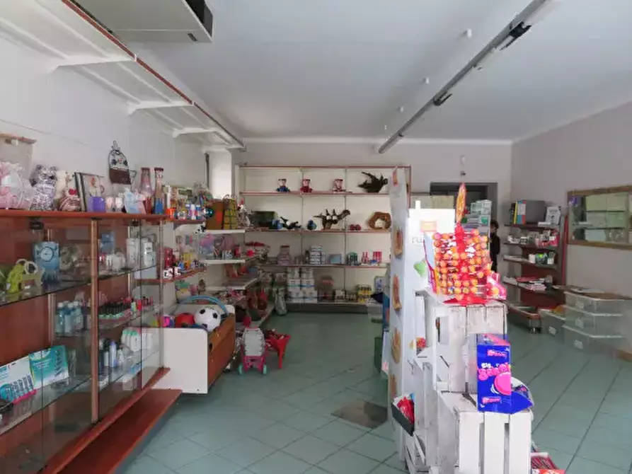 Immagine 4 di Negozio in vendita  a Villar Pellice