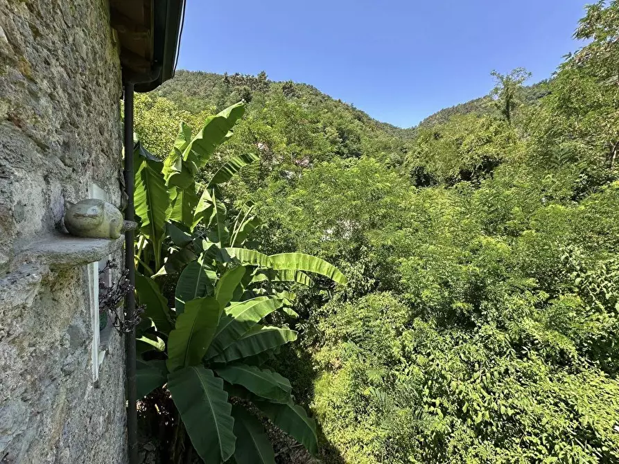 Immagine 31 di Porzione di casa in vendita  a Ameglia