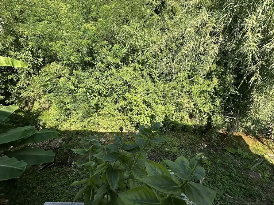 Immagine 32 di Porzione di casa in vendita  a Ameglia