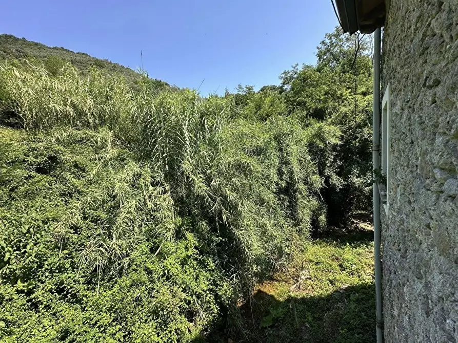 Immagine 30 di Porzione di casa in vendita  a Ameglia