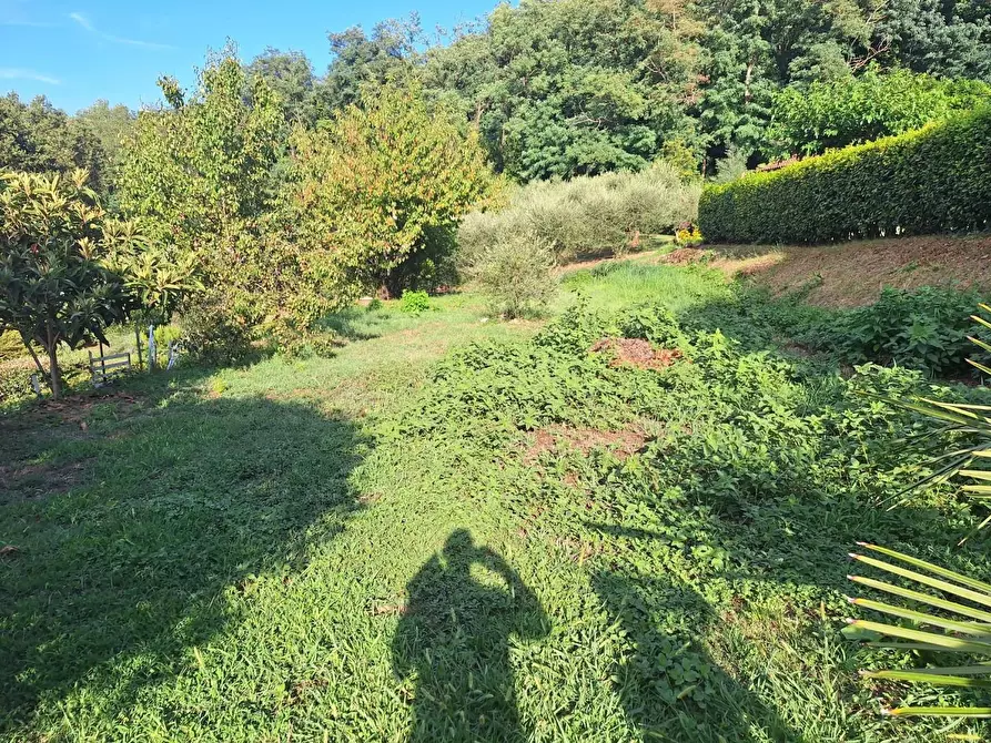 Immagine 25 di Terratetto in vendita  a Capannori