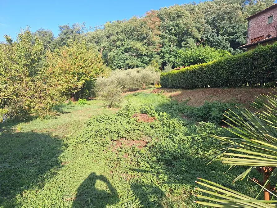 Immagine 26 di Terratetto in vendita  a Capannori