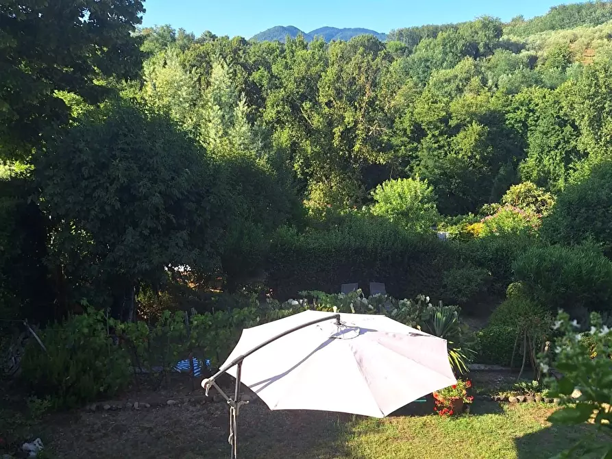 Immagine 39 di Terratetto in vendita  a Capannori