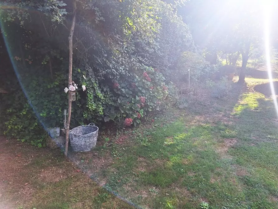 Immagine 22 di Terratetto in vendita  a Capannori