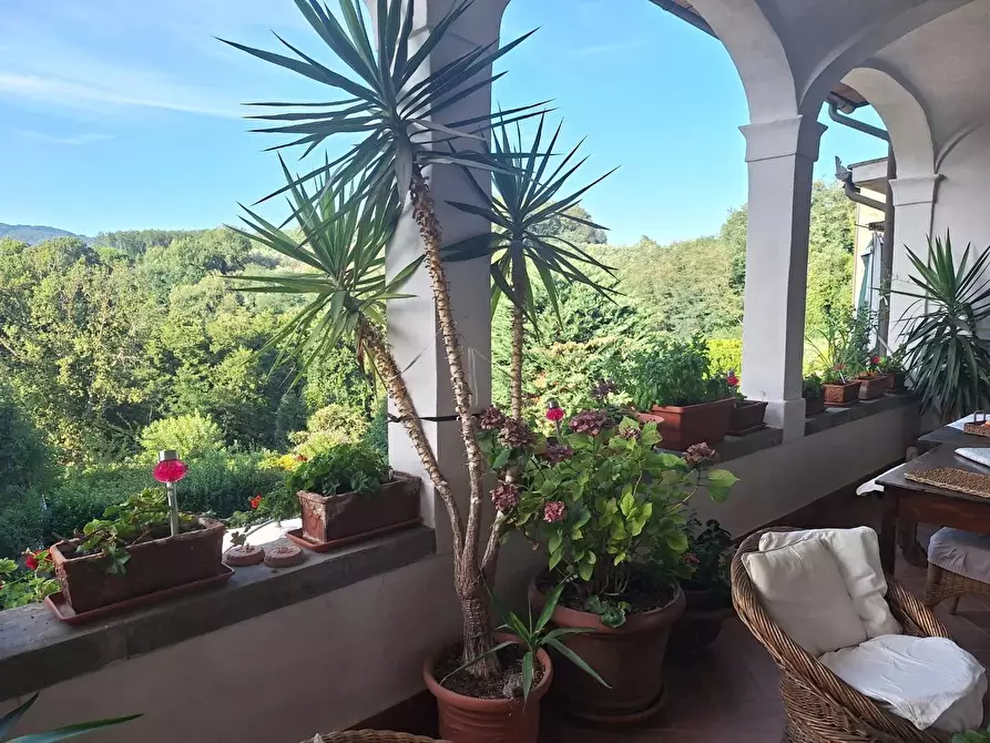 Immagine 36 di Terratetto in vendita  a Capannori