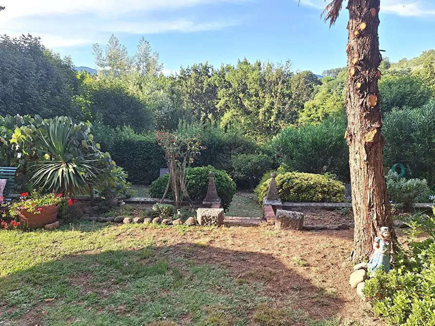 Immagine 6 di Terratetto in vendita  a Capannori