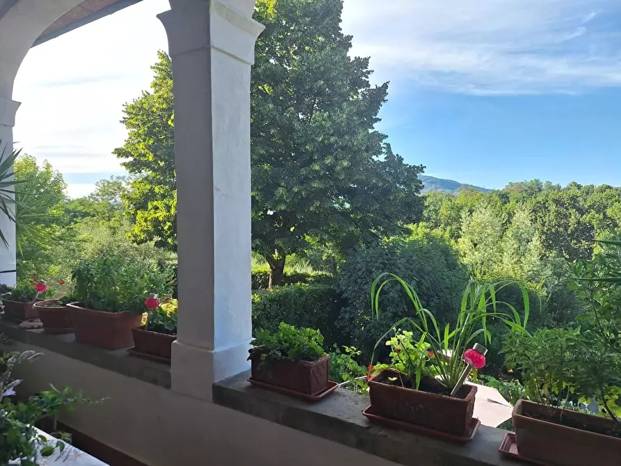 Immagine 38 di Terratetto in vendita  a Capannori