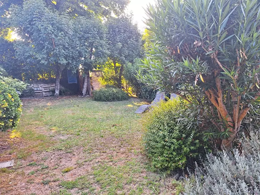 Immagine 24 di Terratetto in vendita  a Capannori