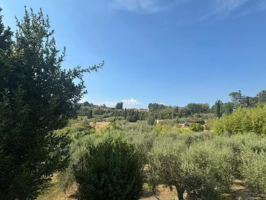 Immagine 19 di Villa in vendita  a Capannoli