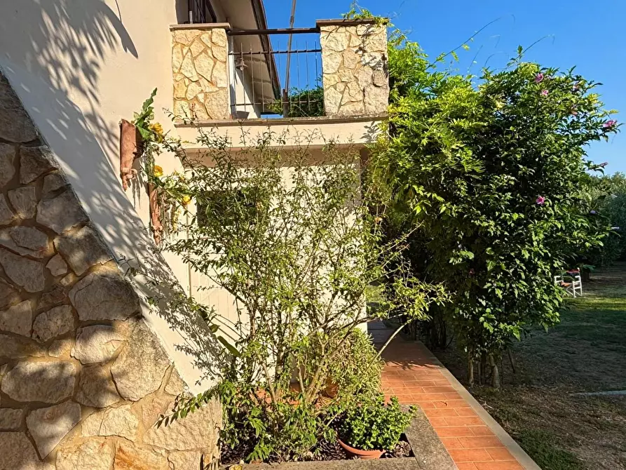 Immagine 14 di Villa in vendita  a Capannoli