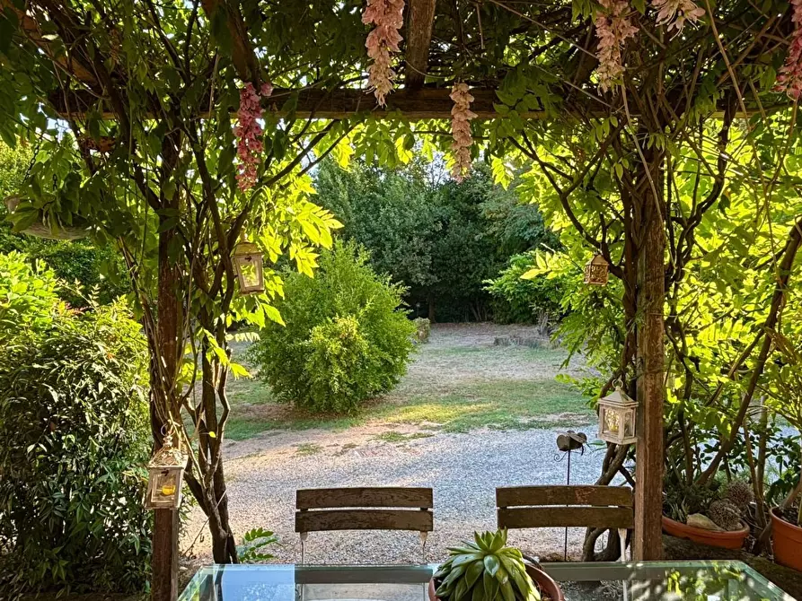 Immagine 5 di Villa in vendita  a Capannoli