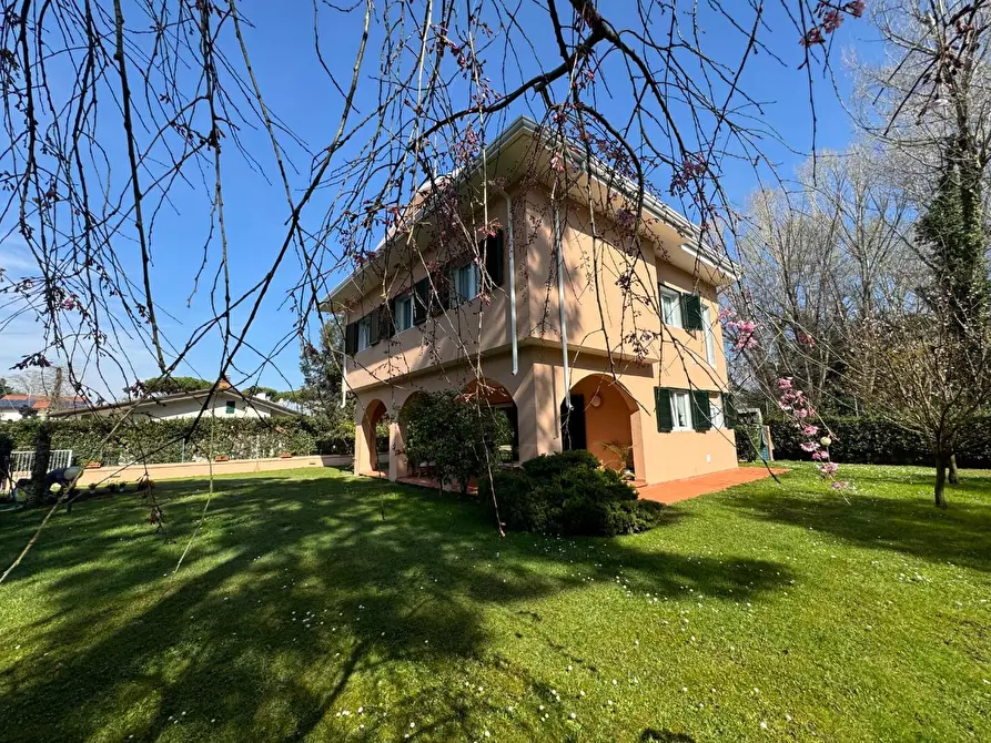Immagine 2 di Villa in vendita  a Massa