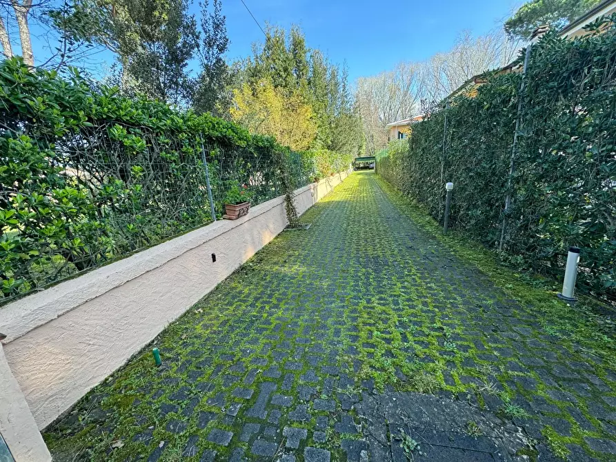 Immagine 8 di Villa in vendita  a Massa