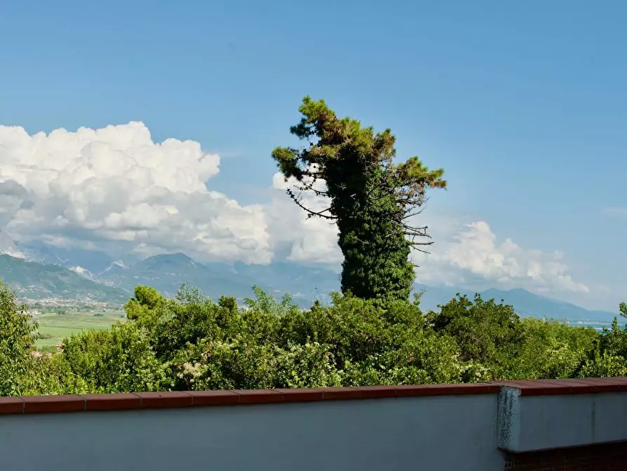Immagine 6 di Porzione di casa in vendita  a Ameglia
