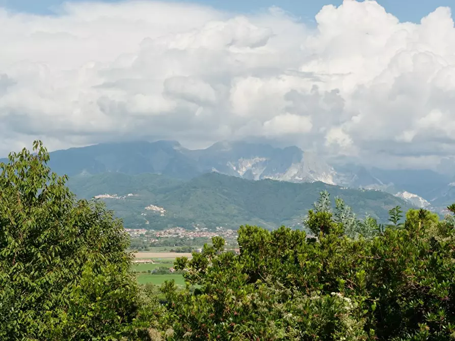 Immagine 10 di Porzione di casa in vendita  a Ameglia