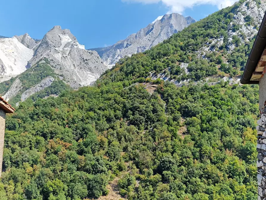 Immagine 7 di Appartamento in vendita  a Carrara