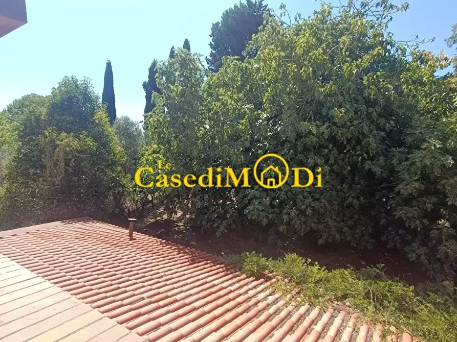 Immagine 11 di Villa in vendita  a Collesalvetti