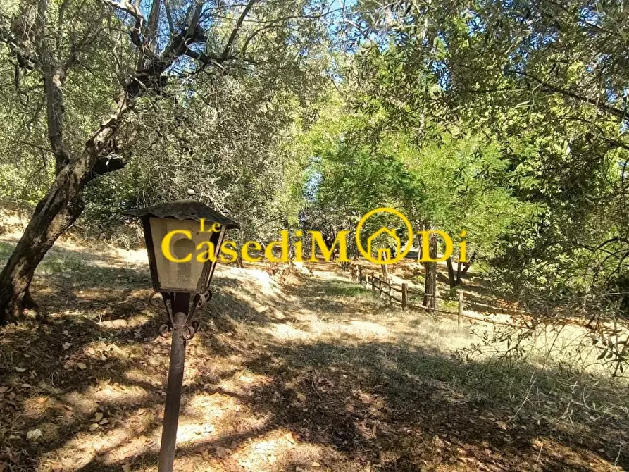 Immagine 9 di Villa in vendita  a Collesalvetti