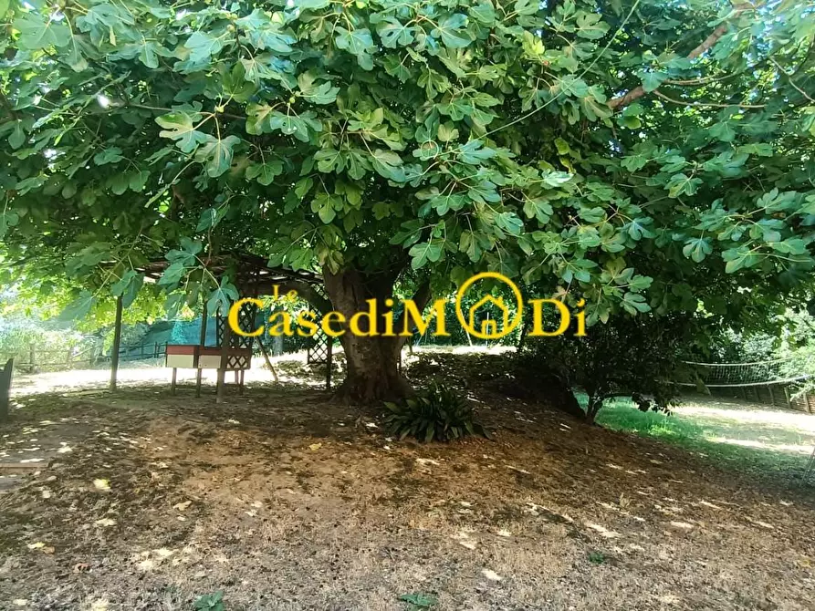 Immagine 10 di Villa in vendita  a Collesalvetti