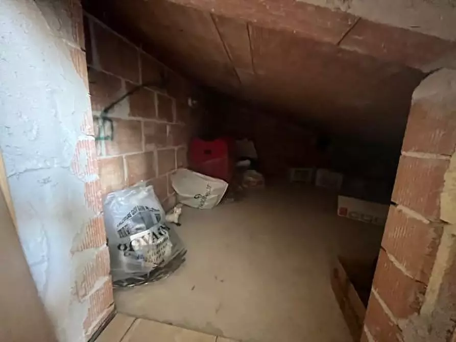 Immagine 15 di Appartamento in vendita  a Terricciola