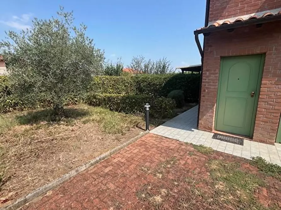 Immagine 4 di Appartamento in vendita  a Terricciola