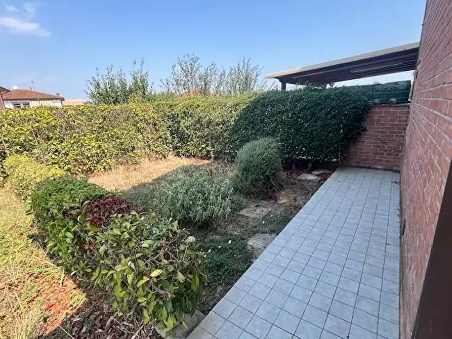 Immagine 6 di Appartamento in vendita  a Terricciola